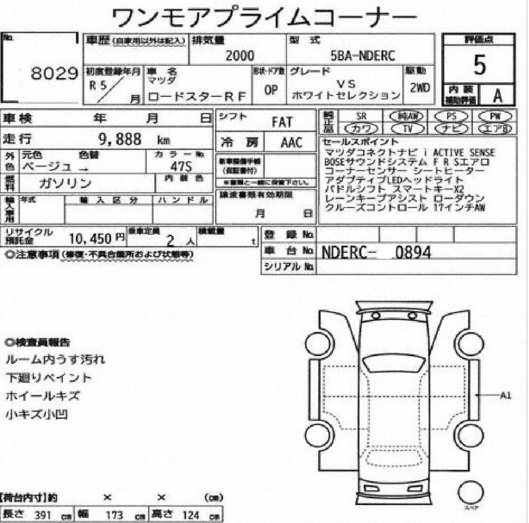 Inspection report page