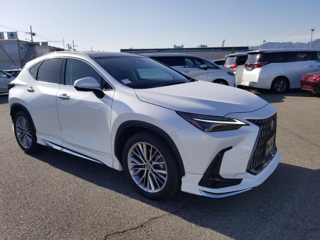 2023 LEXUS NX250 2.5  VERSION L MODELLISTA BODYKIT
