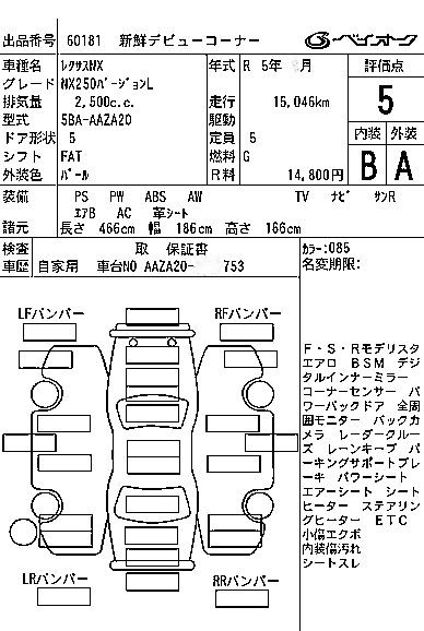 Inspection report page