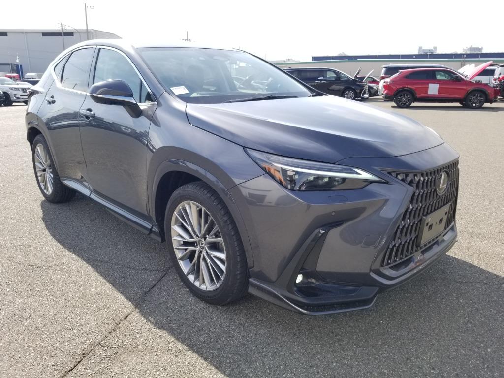 2023 LEXUS NX250 2.5 VERSION L