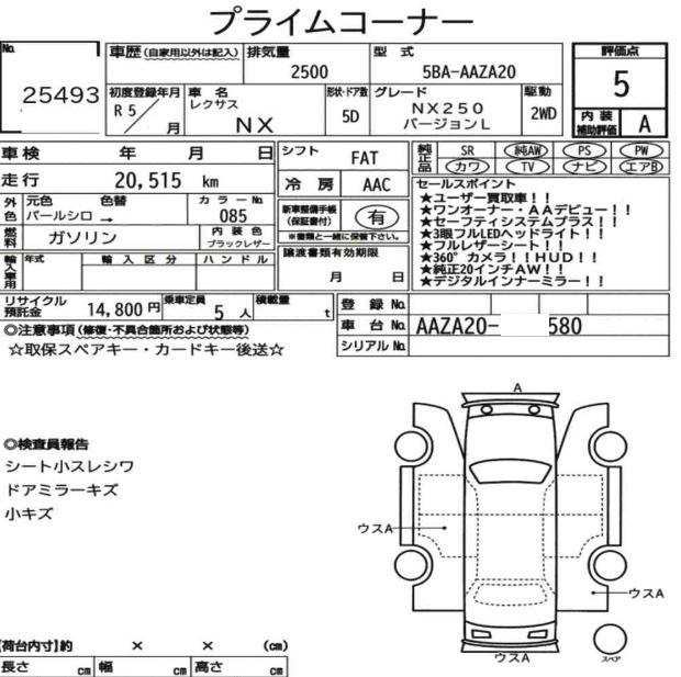 Inspection report page